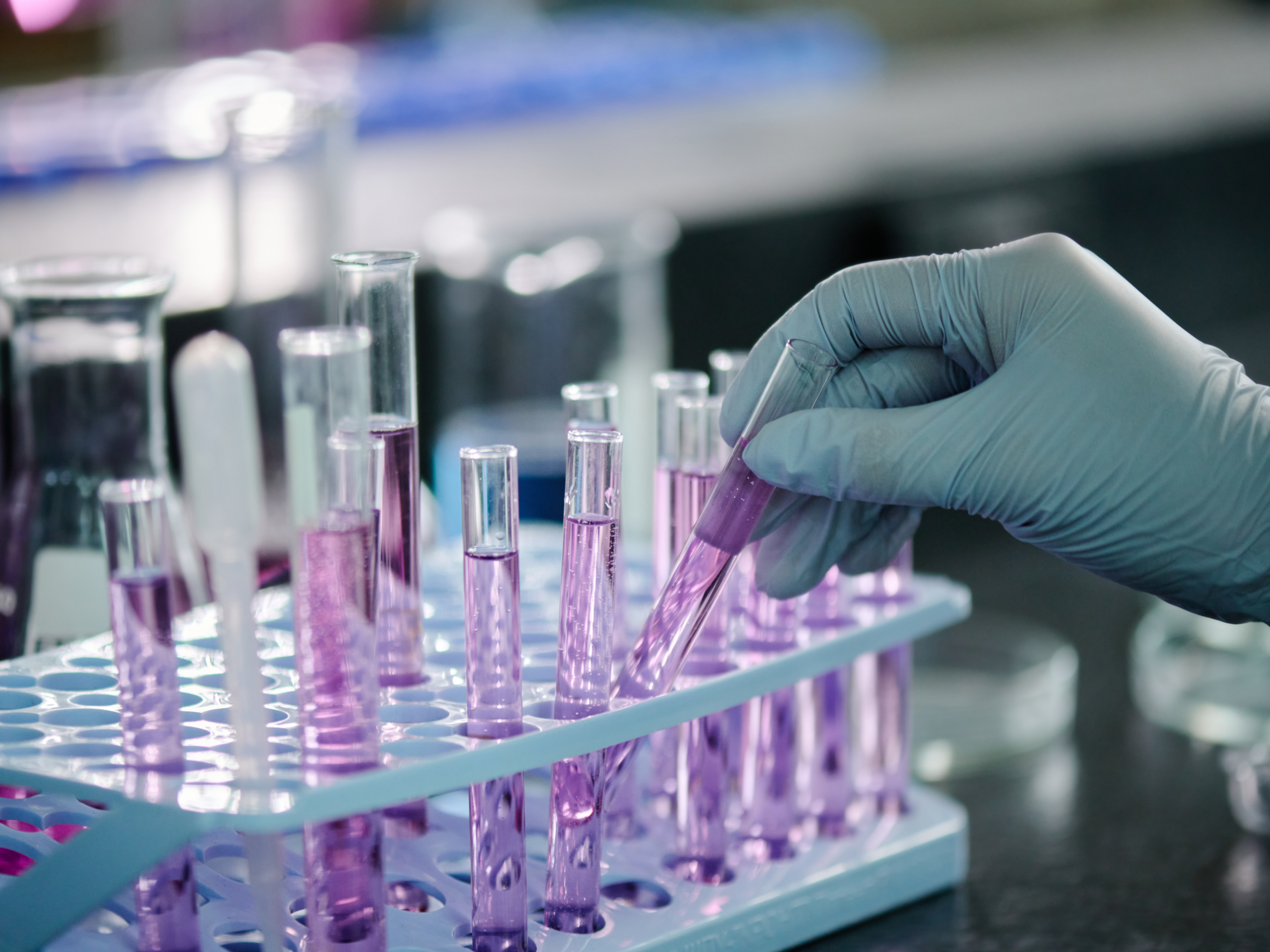 Gloved hand holding test tubes with pink liquid inside