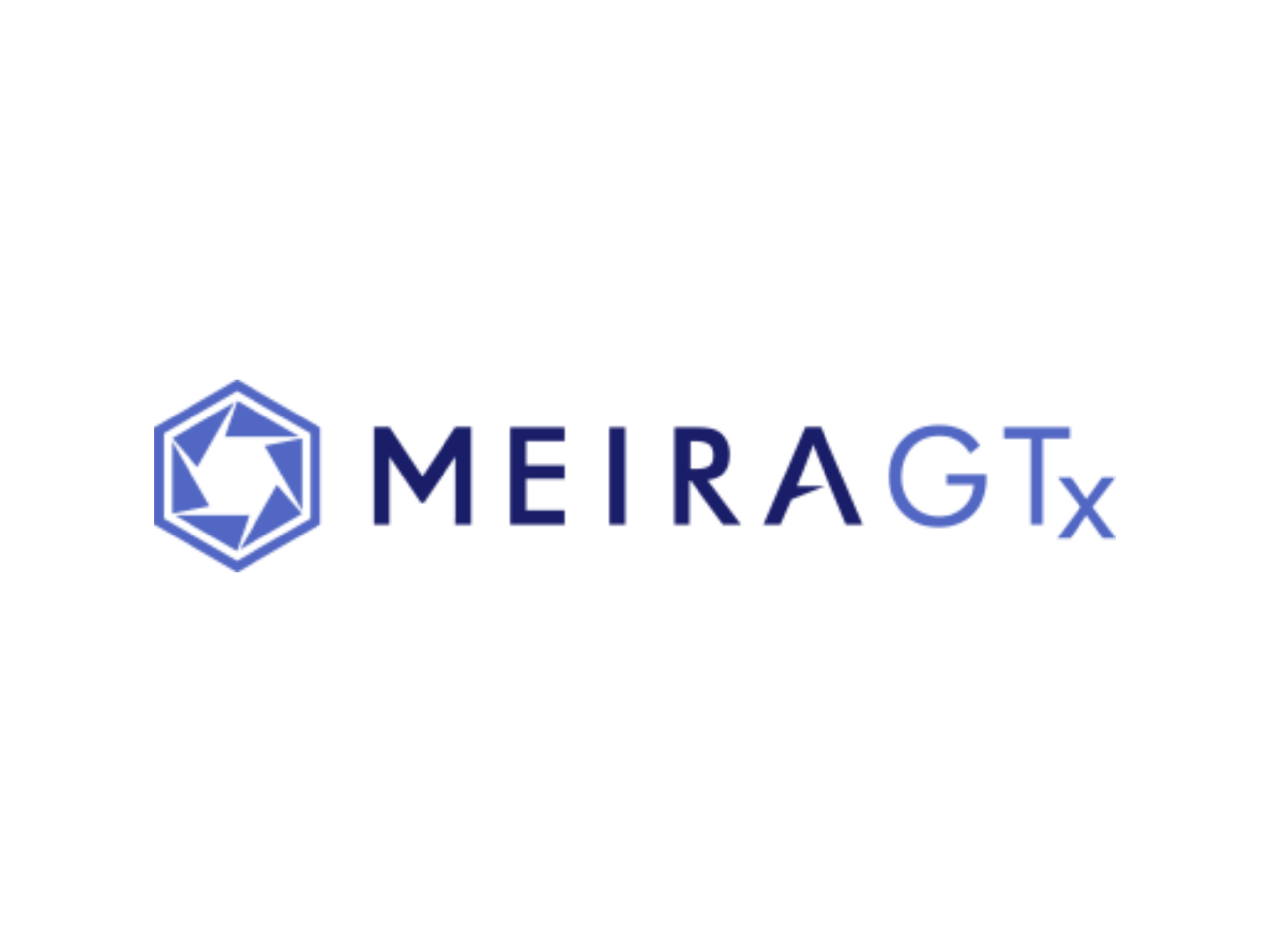 MeiraGTx logo on white background