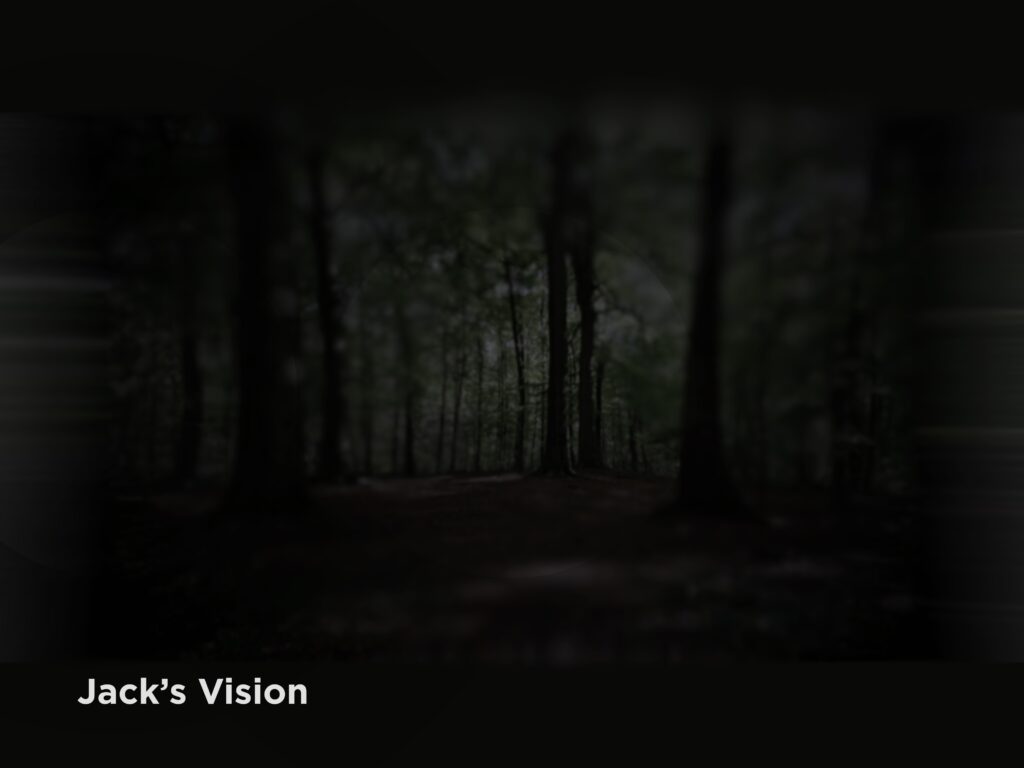 Dark image, barely visible trees that are distant.